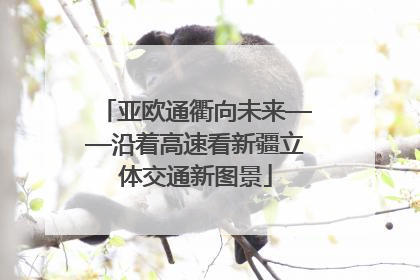 亚欧通衢向未来——沿着高速看新疆立体交通新图景